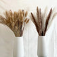 Dried Natural Decorative Pampas