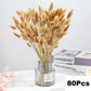 Dried Natural Decorative Pampas