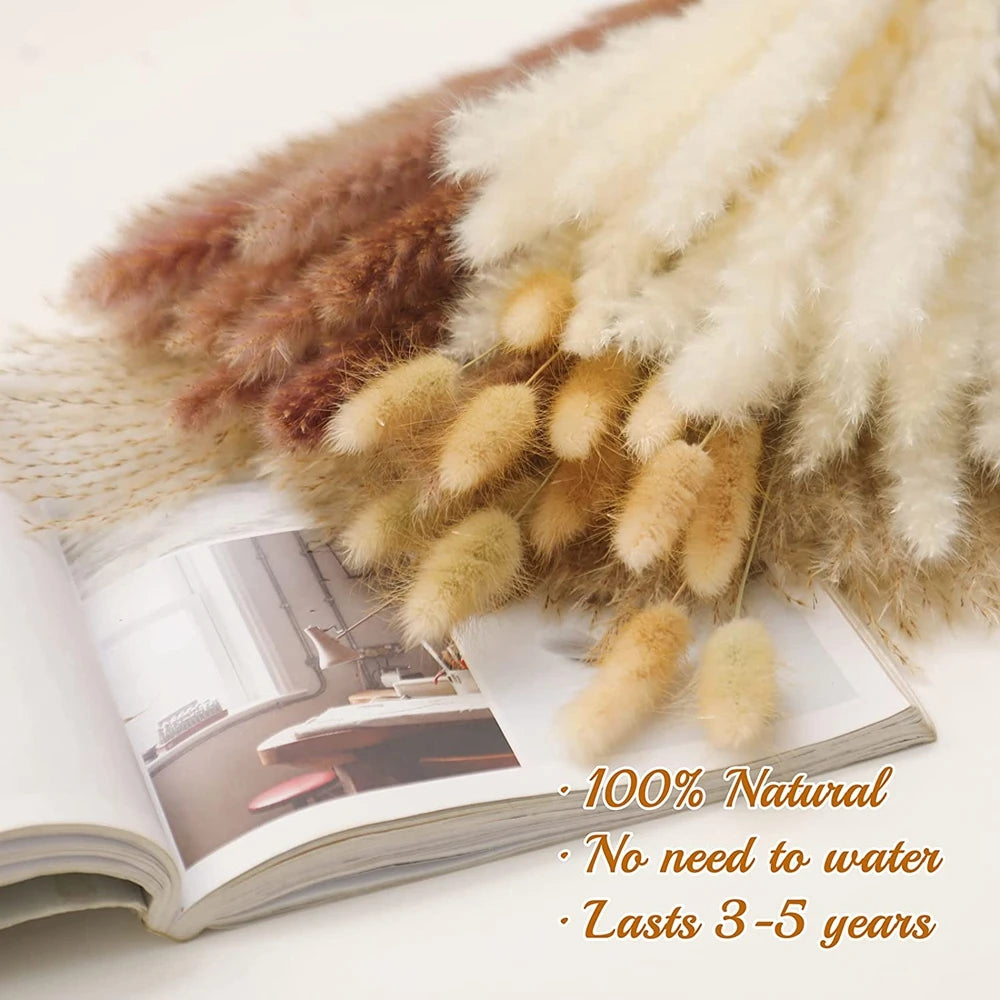 Dried Natural Decorative Pampas