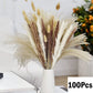 Dried Natural Decorative Pampas