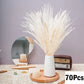 Dried Natural Decorative Pampas