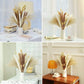 Dried Natural Decorative Pampas