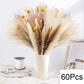 Dried Natural Decorative Pampas