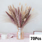 Dried Natural Decorative Pampas