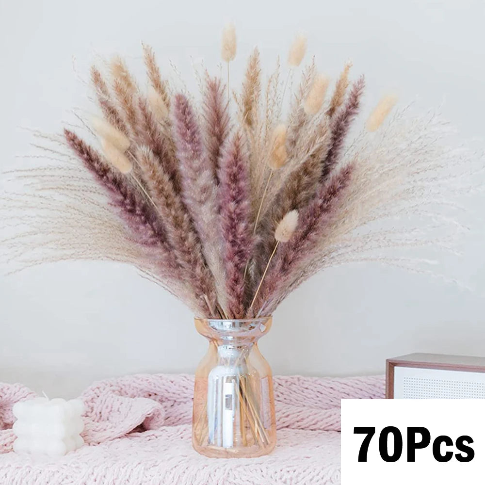 Dried Natural Decorative Pampas