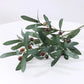 Artificial Olive Branches Leave With Fruits