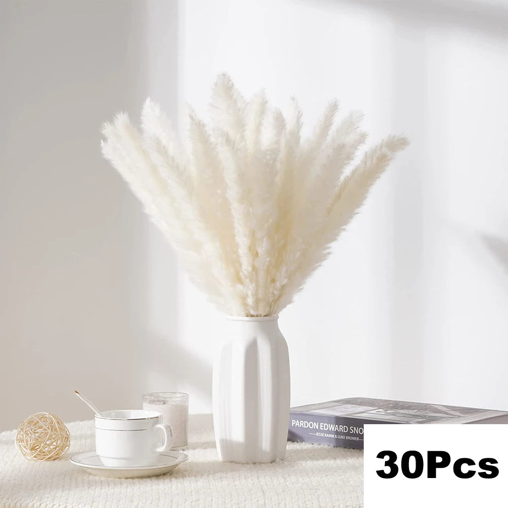 Dried Natural Decorative Pampas