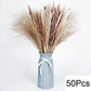 Dried Natural Decorative Pampas