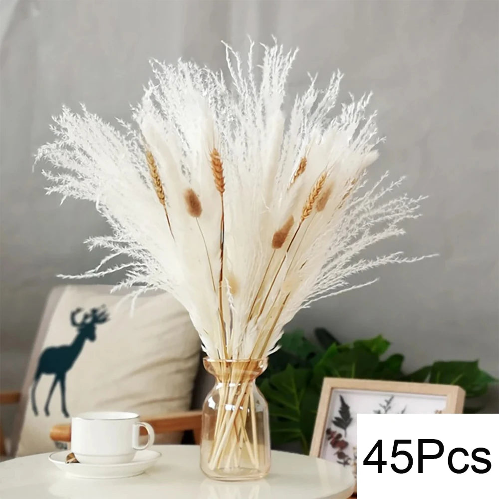 Dried Natural Decorative Pampas