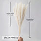 Dried Natural Decorative Pampas