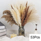 Dried Natural Decorative Pampas