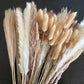 Dried Natural Decorative Pampas