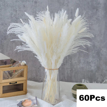 Dried Natural Decorative Pampas