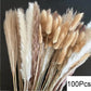 Dried Natural Decorative Pampas